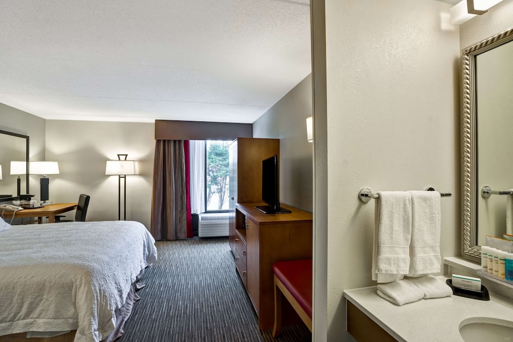 Room, 1 King Bed, Accessible, Refrigerator & Microwave (Mobility & Hearing, Bathtub) photo 2