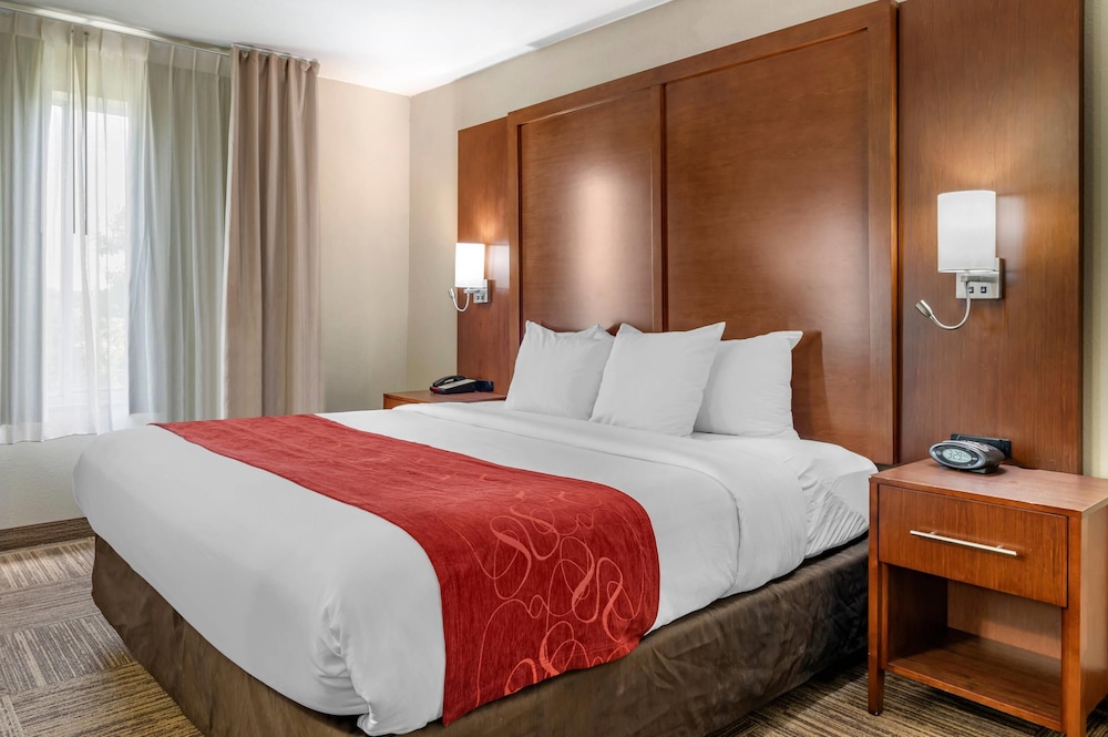 Suite, 1 King Bed, Non Smoking - Photo 7