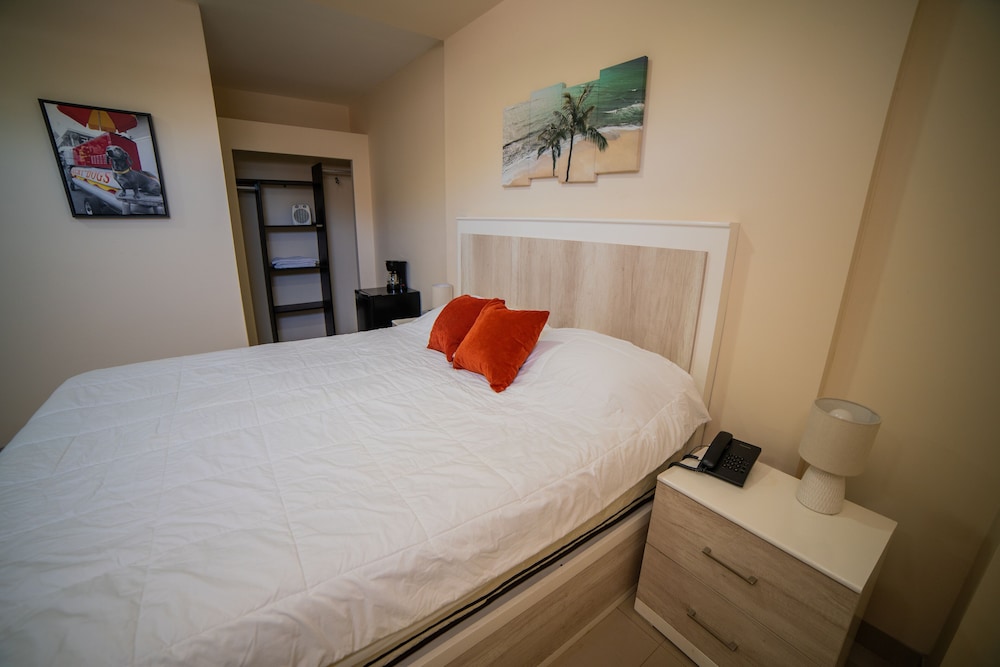 Luxury Single Room, 1 King Bed photo 3