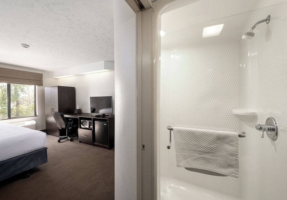 Standard Room, 1 King Bed, Non Smoking, Refrigerator & Microwave - Photo 2