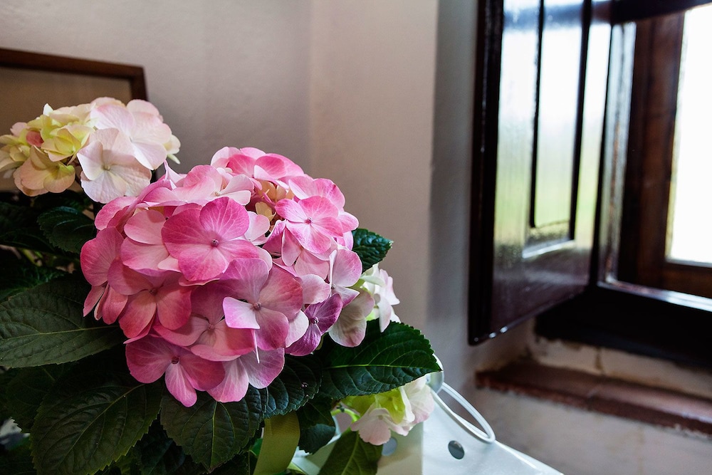 Superior Double Room, Garden View photo 2