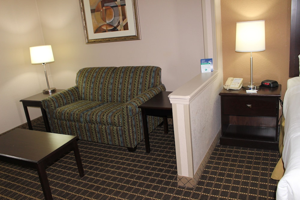 Suite, 1 King Bed - Photo 8