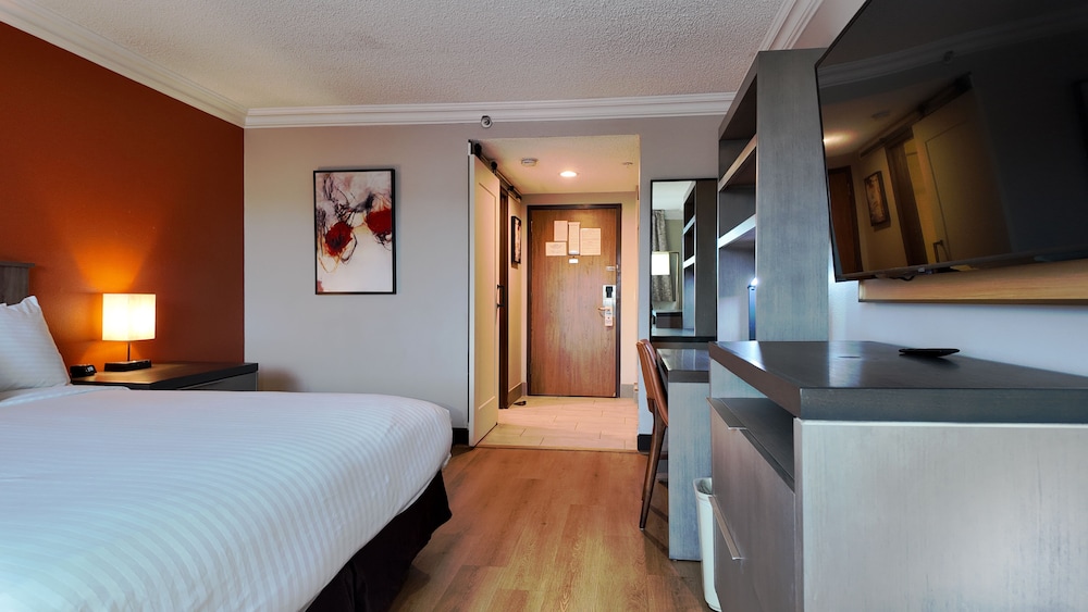Deluxe Single Room, Non Smoking - Photo 4