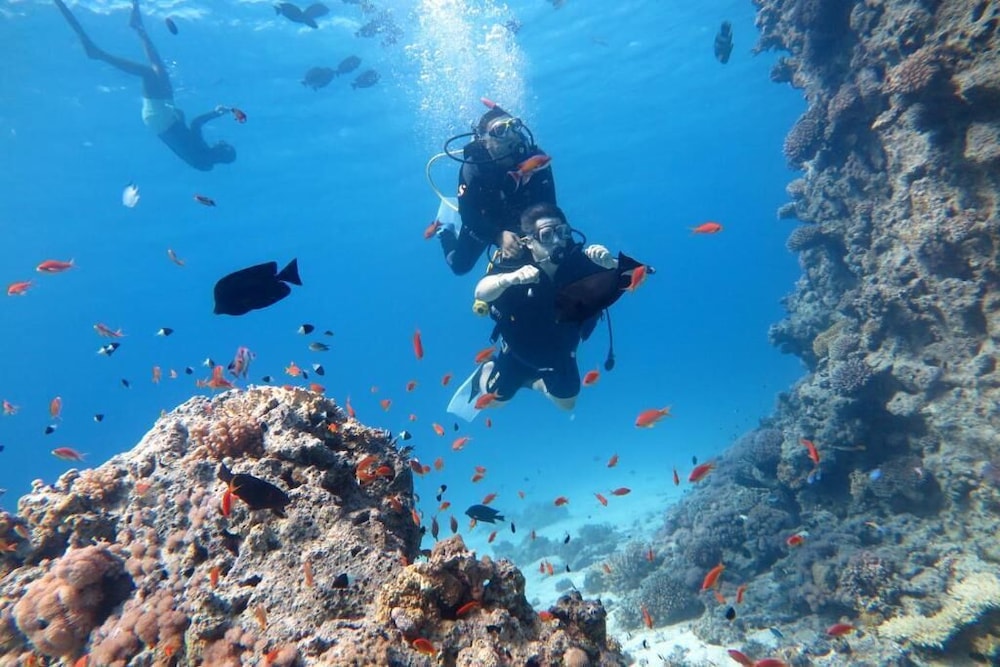 Deep Blue Dive Experience thumbnail 6