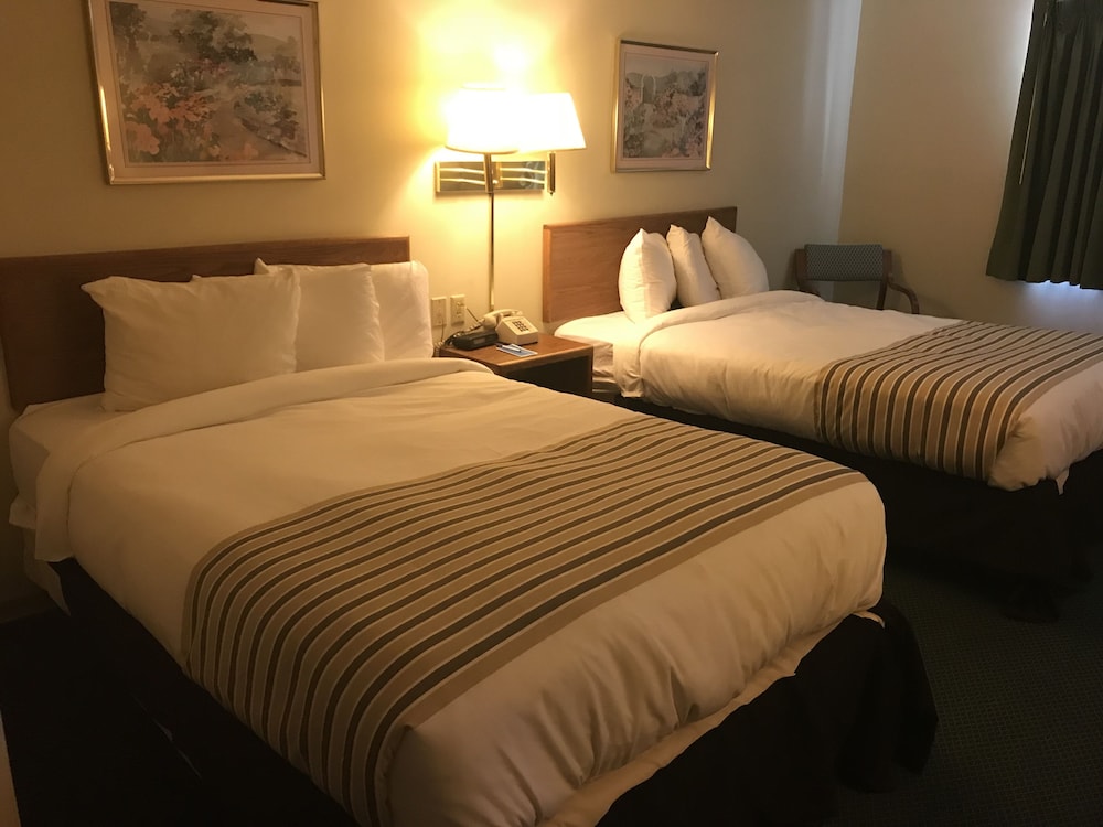 Standard Room, 2 Double Beds, Non Smoking photo 1