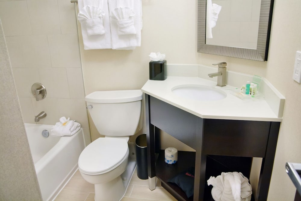 Standard Room, 1 King Bed, Accessible, Non Smoking (Communications) - Photo 5