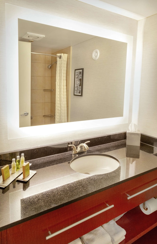 Suite, 1 King Bed, Refrigerator photo 3