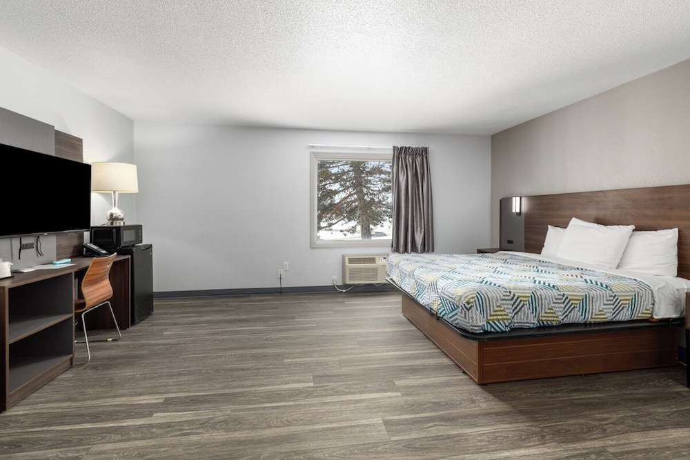 Deluxe Room, 1 King Bed, Non Smoking, Refrigerator & Microwave - Photo 3