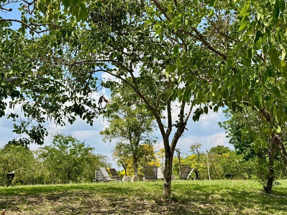 Standard Double Room, Garden View - Photo 4