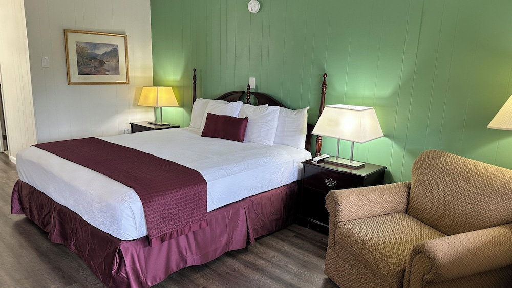 One King Bed, Non-Smoking photo 1