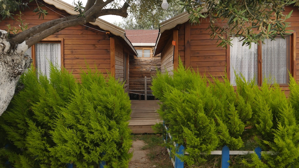 Tree House