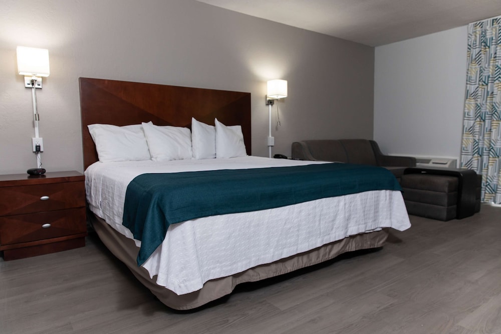 Standard Room, 1 King Bed, Non Smoking, Kitchenette - Photo 5