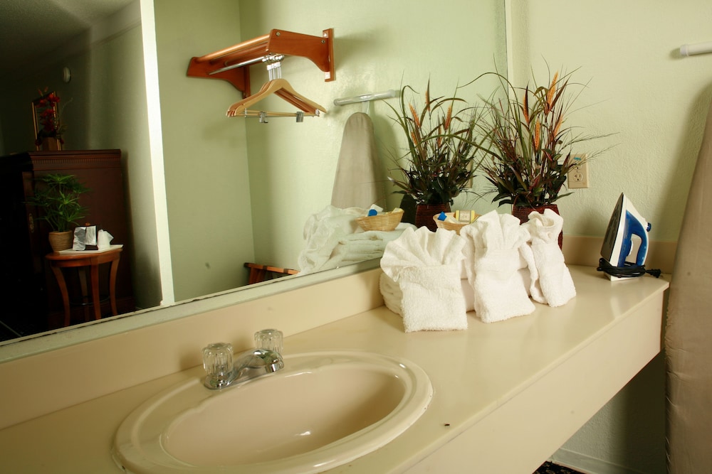 Deluxe Room, 1 King Bed, Non Smoking, Refrigerator & Microwave photo 3