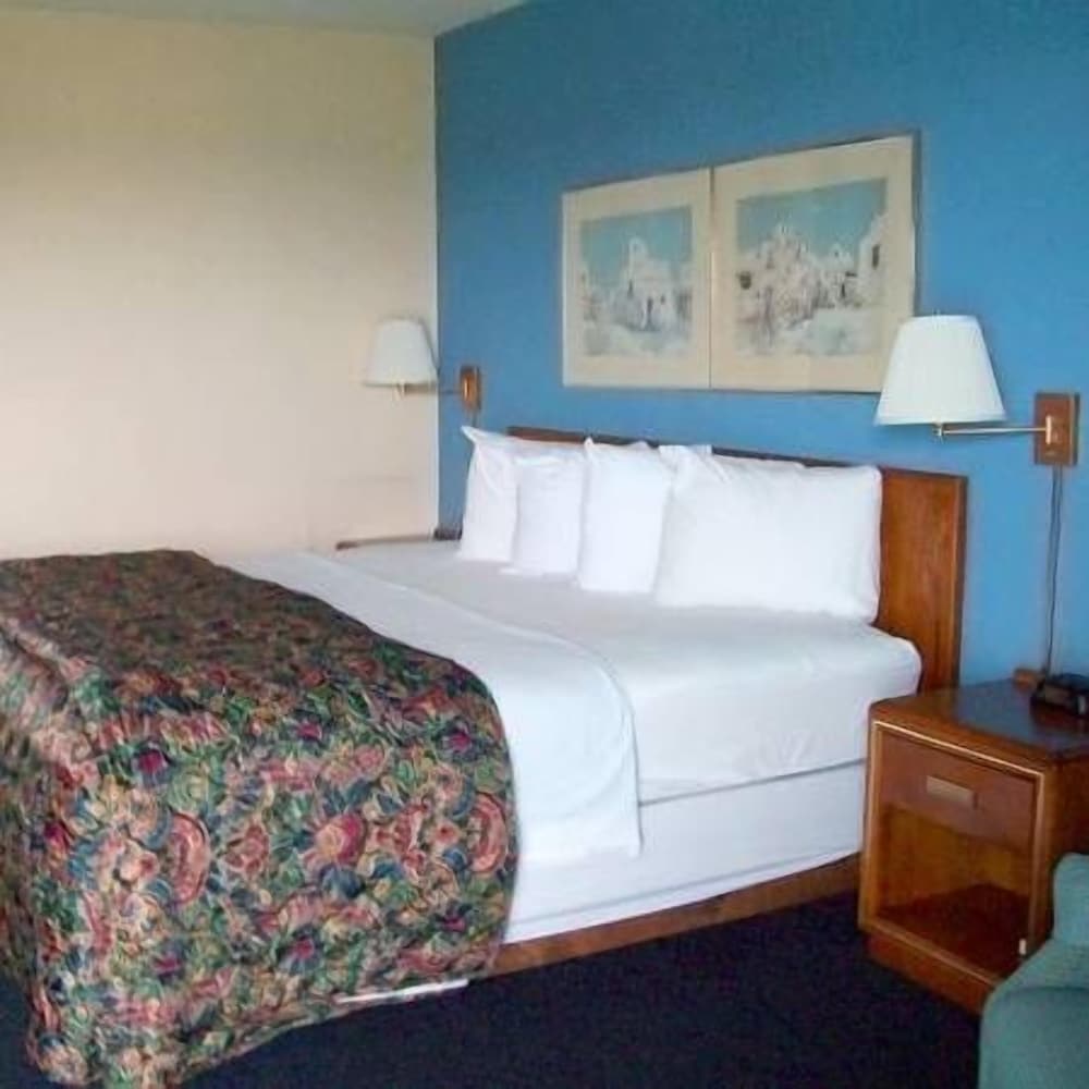 Standard Room, 1 King Bed, Refrigerator & Microwave photo 1