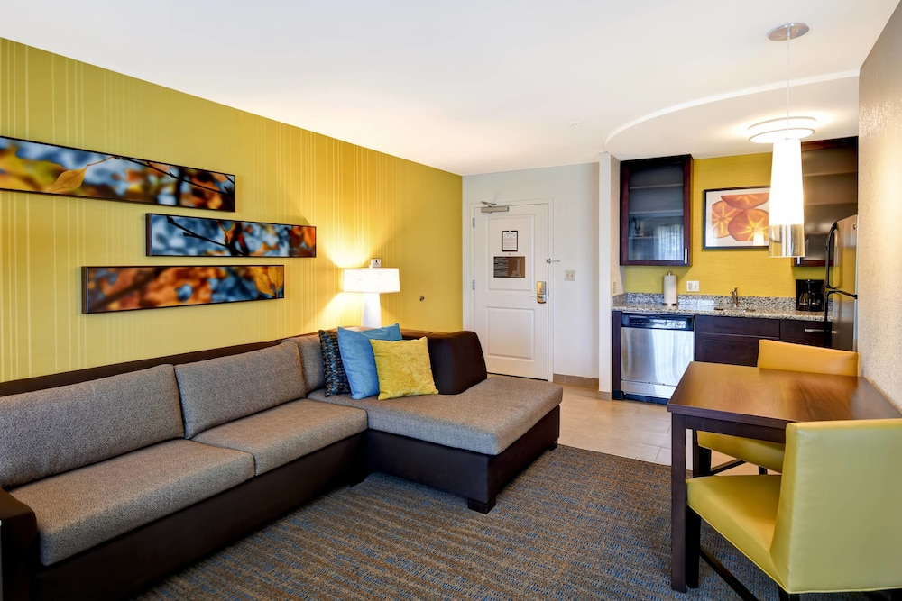 Studio, 1 King Bed with Sofa bed
