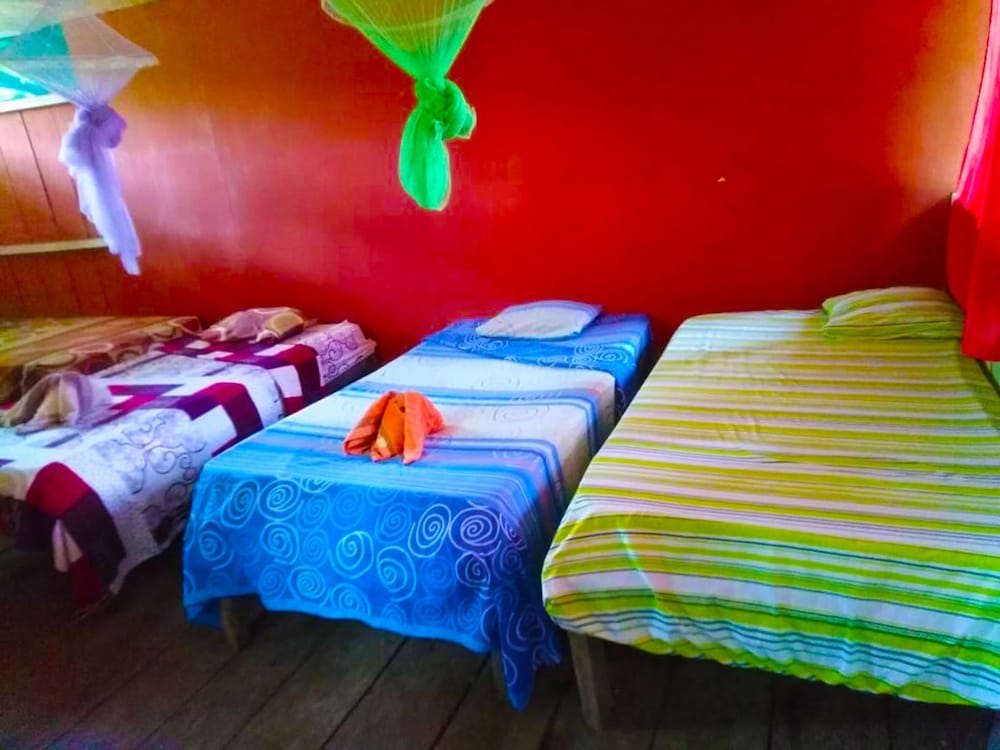 Economy Room, Multiple Beds photo 1