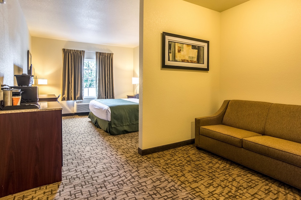 Cobblestone Hotel & Suites - Greenville, Billede 3