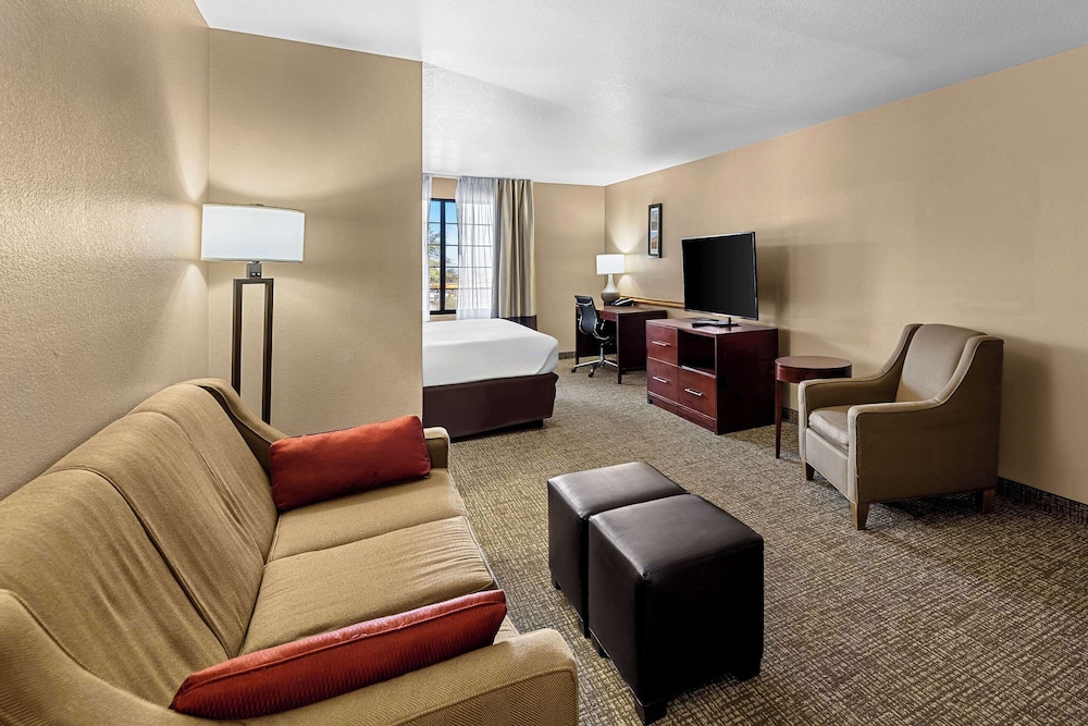 Suite, 1 King Bed with Sofa bed, Accessible, Non Smoking