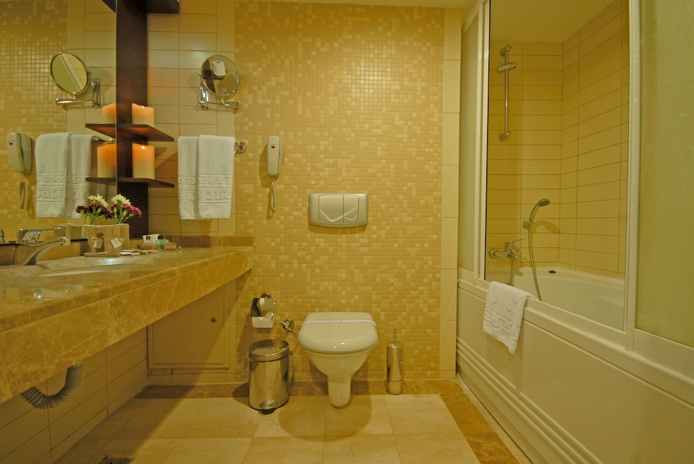 Premier Room photo 3