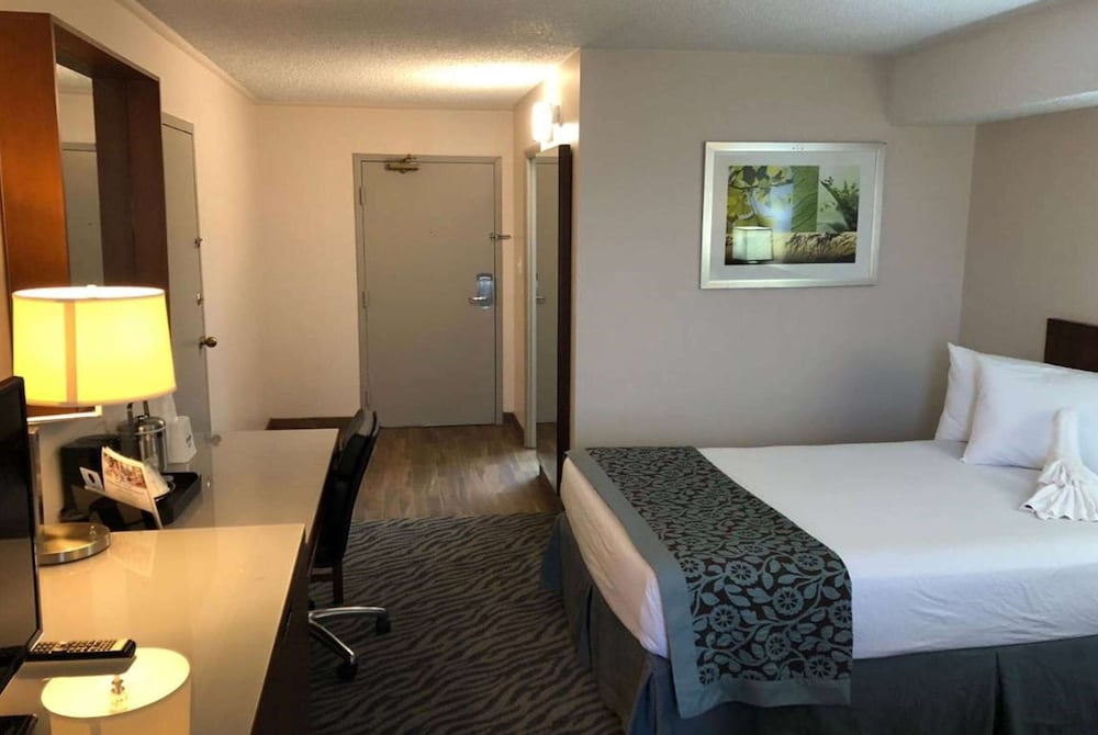 Room, 1 King Bed, Non Smoking - Photo 1