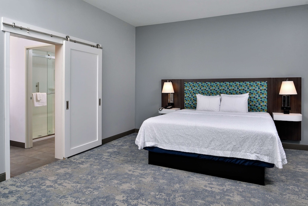 Suite, 1 King Bed, Accessible (Mobility & Hearing, Roll-in Shower) - Photo 1