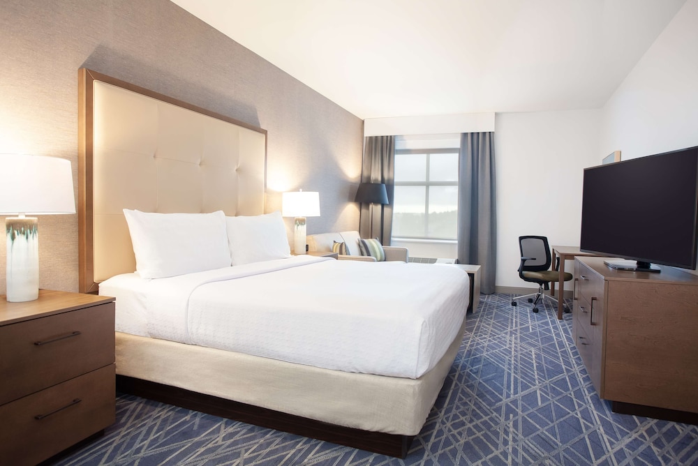 Suite, 1 King Bed, Accessible (Roll-In Shower)