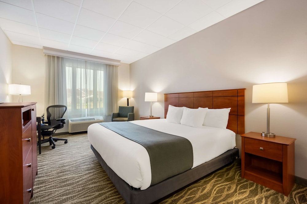 Standard Room, 1 King Bed, Accessible, Refrigerator & Microwave photo 2