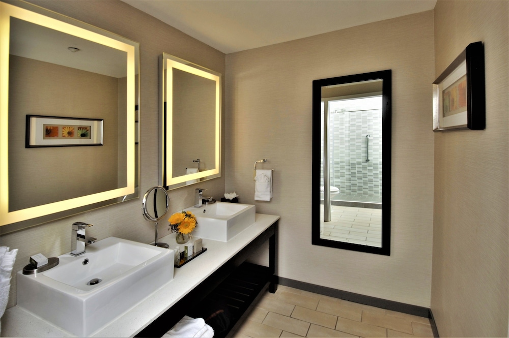 Suite, 1 Bedroom - Photo 8