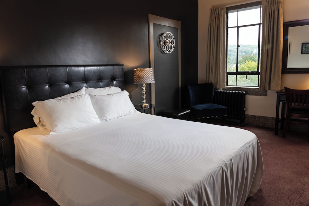 PET FRIENDLY-Standard Double Room, Accessible, Ensuite (King DOWNTOWN View)