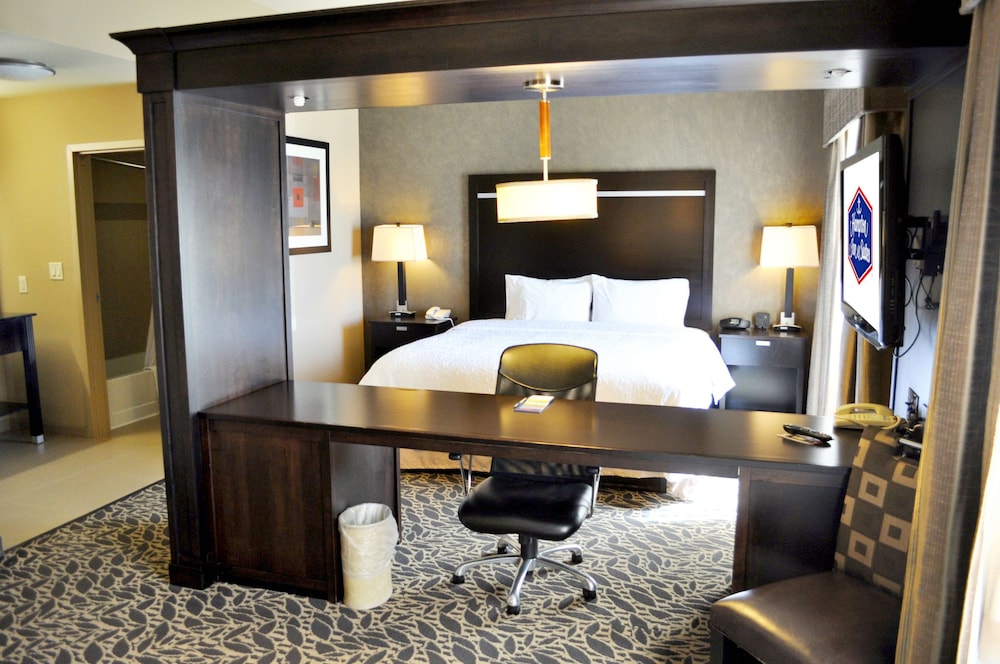 Suite, 1 King Bed, Accessible, Non Smoking (Hearing Access w/Roll in Shower) - Photo 1