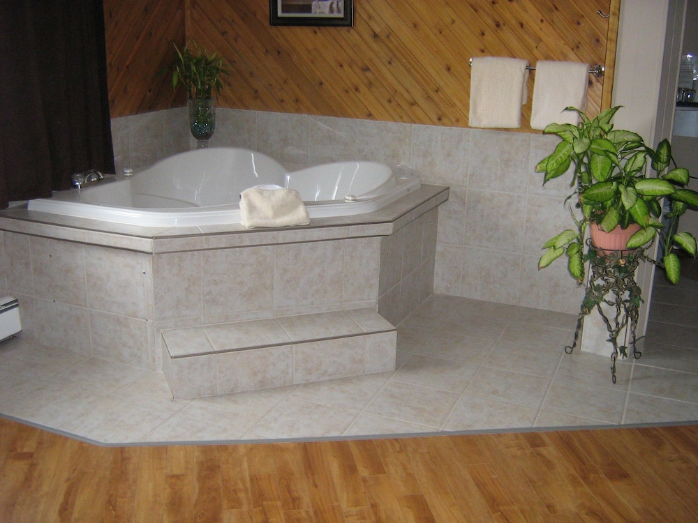 Jacuzzi Suite photo 2