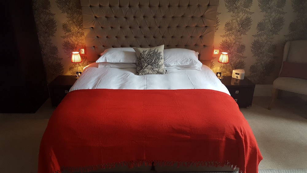 Double Room, 1 King Bed photo 1
