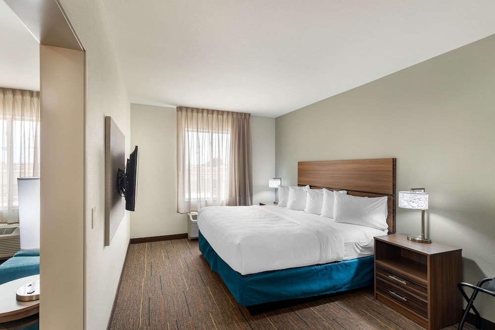 Suite, 1 King Bed with Sofa bed, Accessible, Non Smoking (Efficiency) - Photo 2