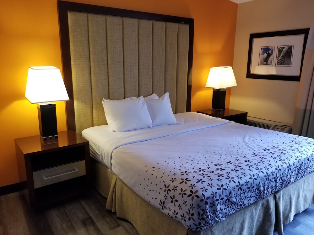 Standard Single Room, 1 King Bed, Non Smoking