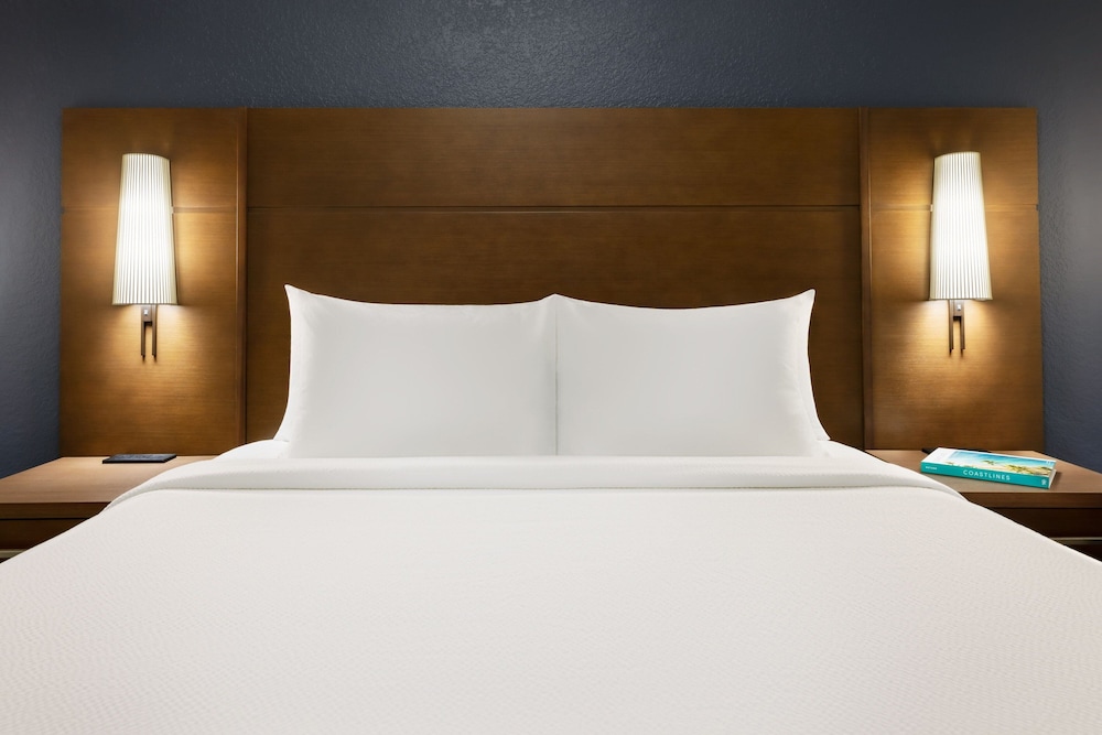 Suite, 1 Bedroom - Photo 4