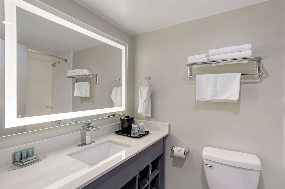 Standard Room,1 King Bed, Accessible, Bathtub, Refrigerator & Microwave - Photo 4
