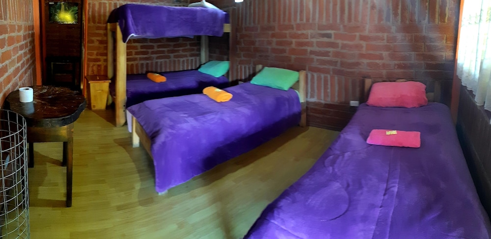 Shared Dormitory