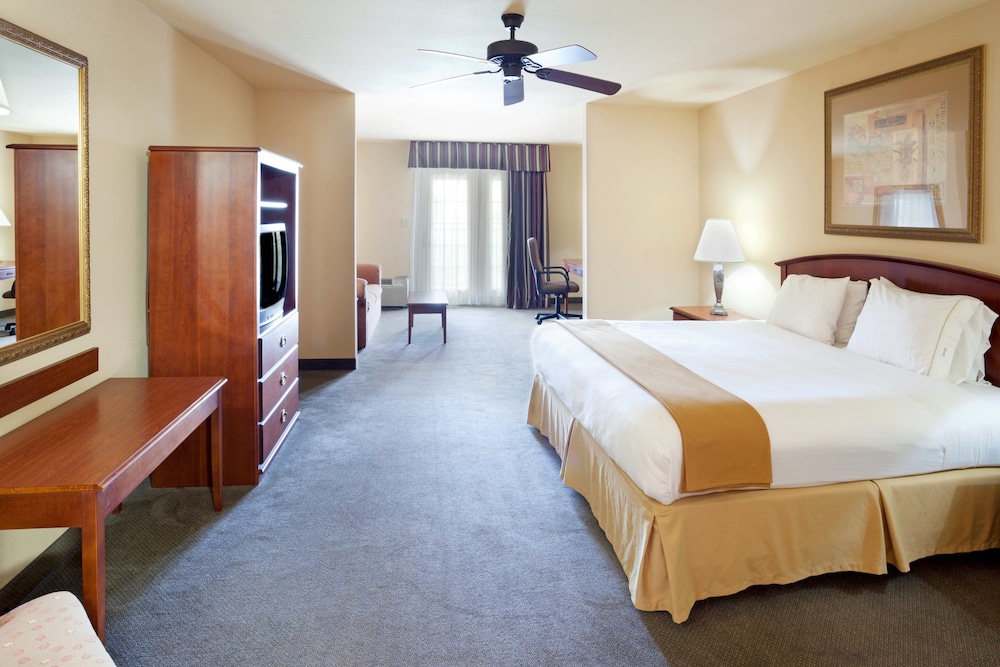 Suite, 1 King Bed - Photo 7