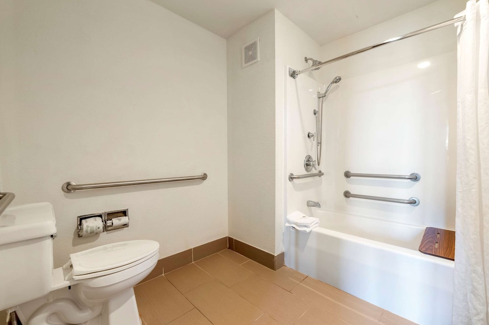 Suite, 1 King Bed with Sofa bed, Accessible, Non Smoking (Efficiency) - Photo 5