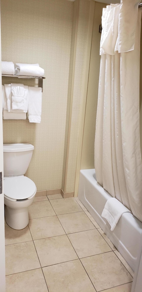 Suite, Non Smoking - Photo 6