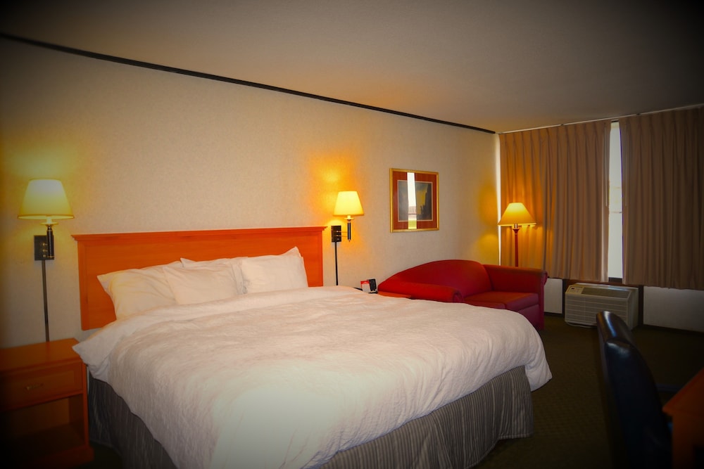 Room, 1 King Bed, Non Smoking - Photo 10
