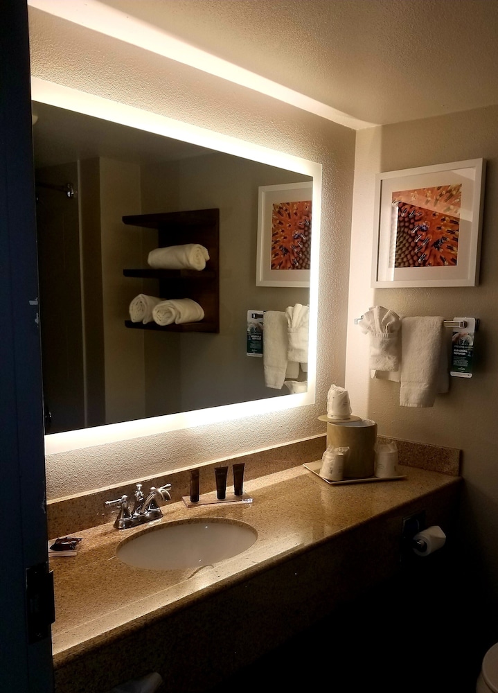 Suite, 1 King Bed, Jetted Tub - Photo 10