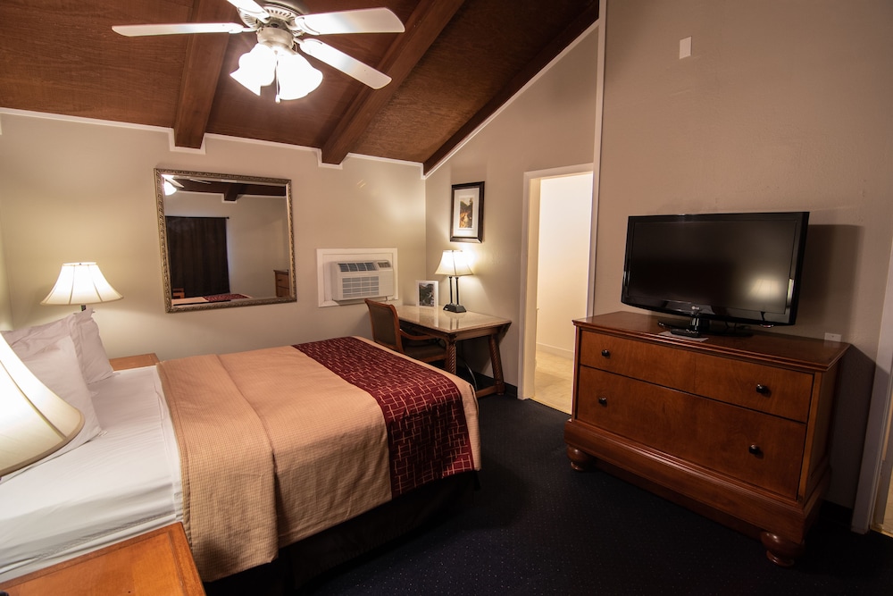 Room, 1 Queen Bed photo 1