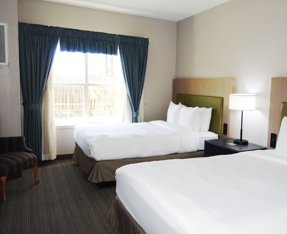 Suite, 1 Bedroom, Accessible, Non Smoking