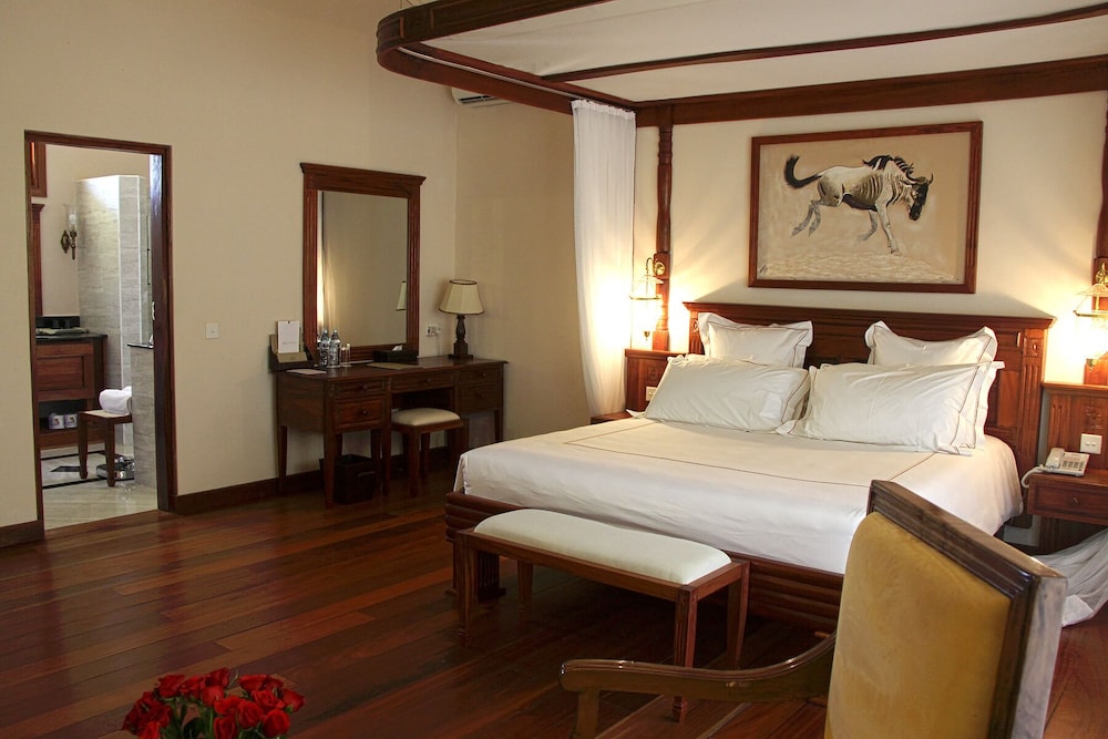 Suite - Photo 4
