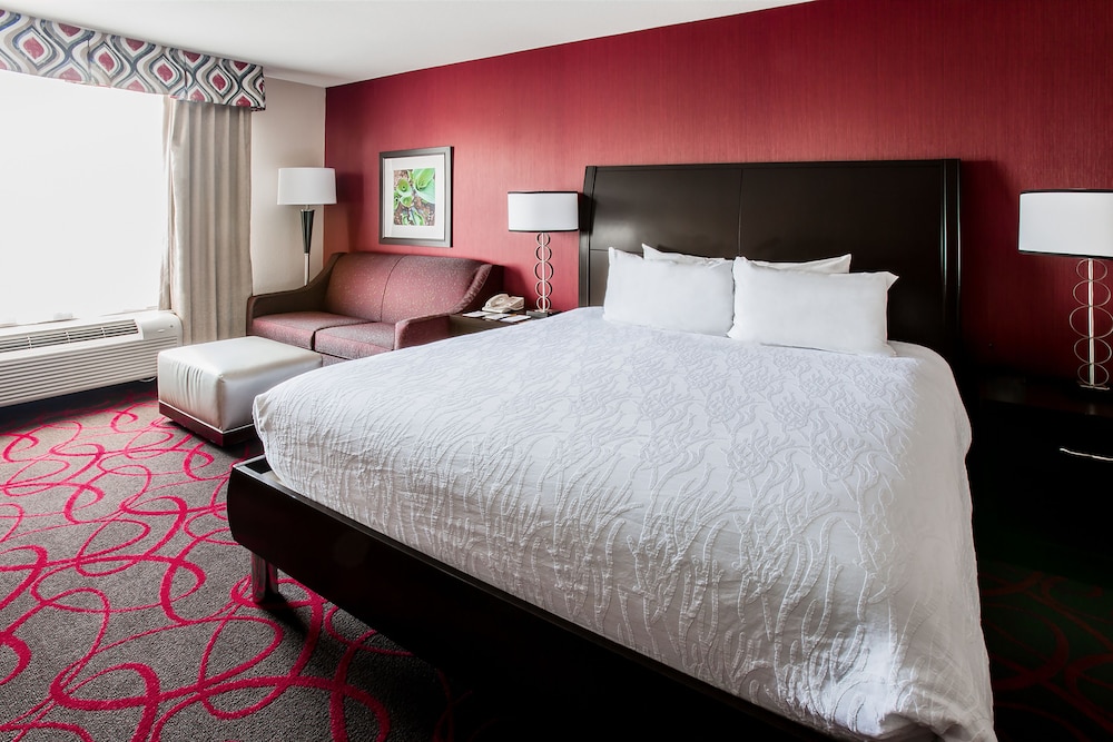 Room, 1 King Bed, Accessible (Roll-in Shower) - Photo 3