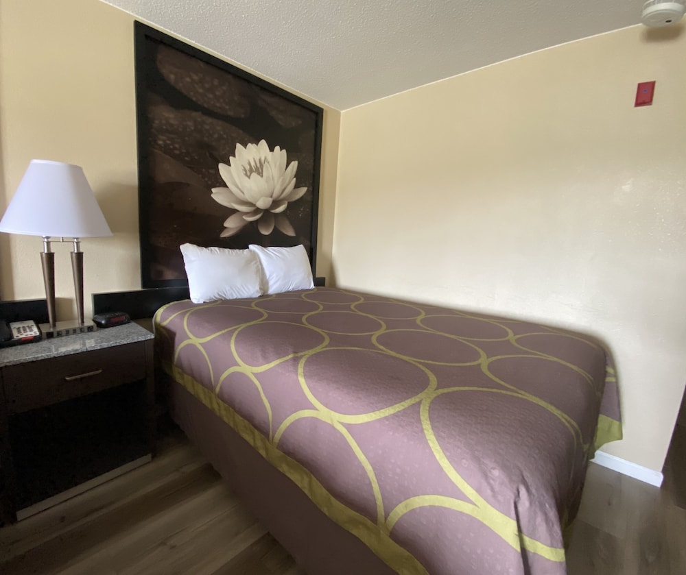 Basic Single Room photo 1