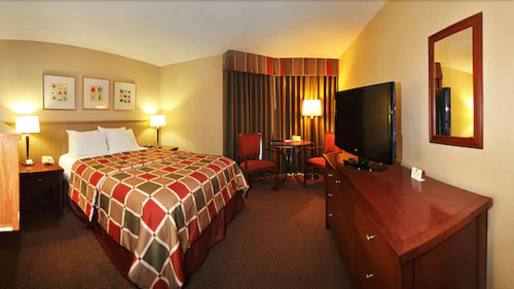 Renovated 1 Queen Bed Studio - Conference Centre photo 3