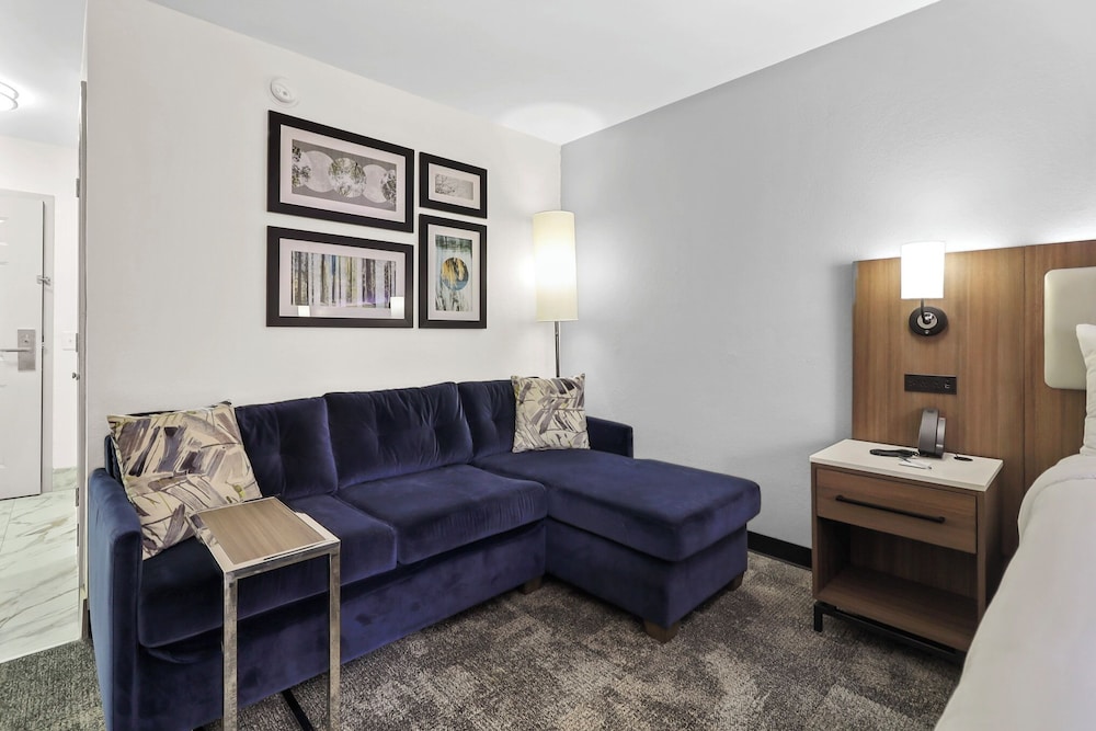 Deluxe Suite, 1 King Bed, Non Smoking (Deluxe Family Suite) - Photo 8