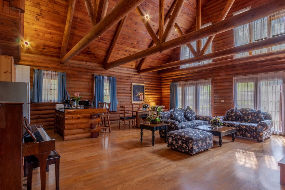 Log home - Photo 4